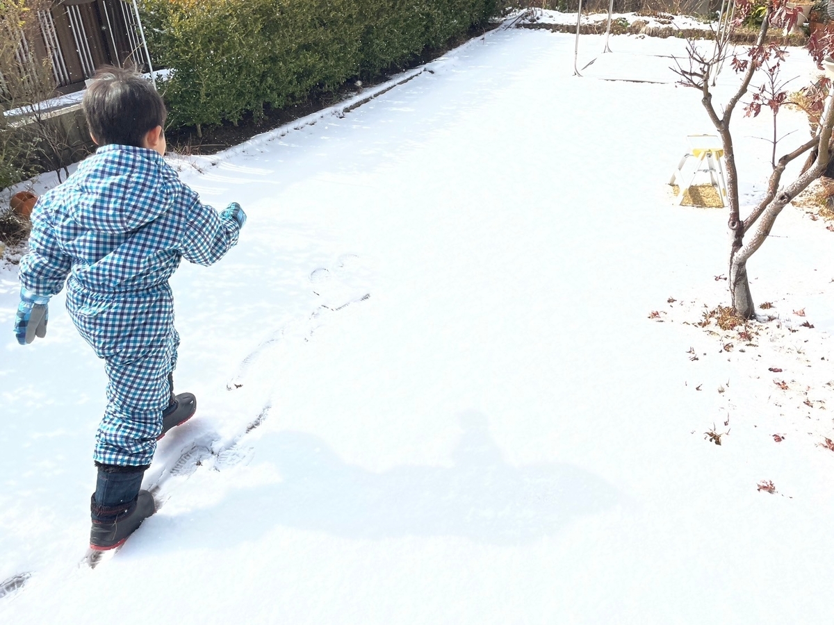 庭で雪遊びをする男児