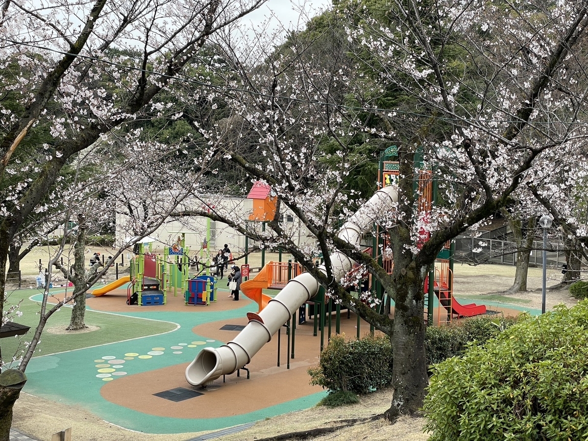 知多半島の桜の名所｜東海市にある大池公園の桜と遊具