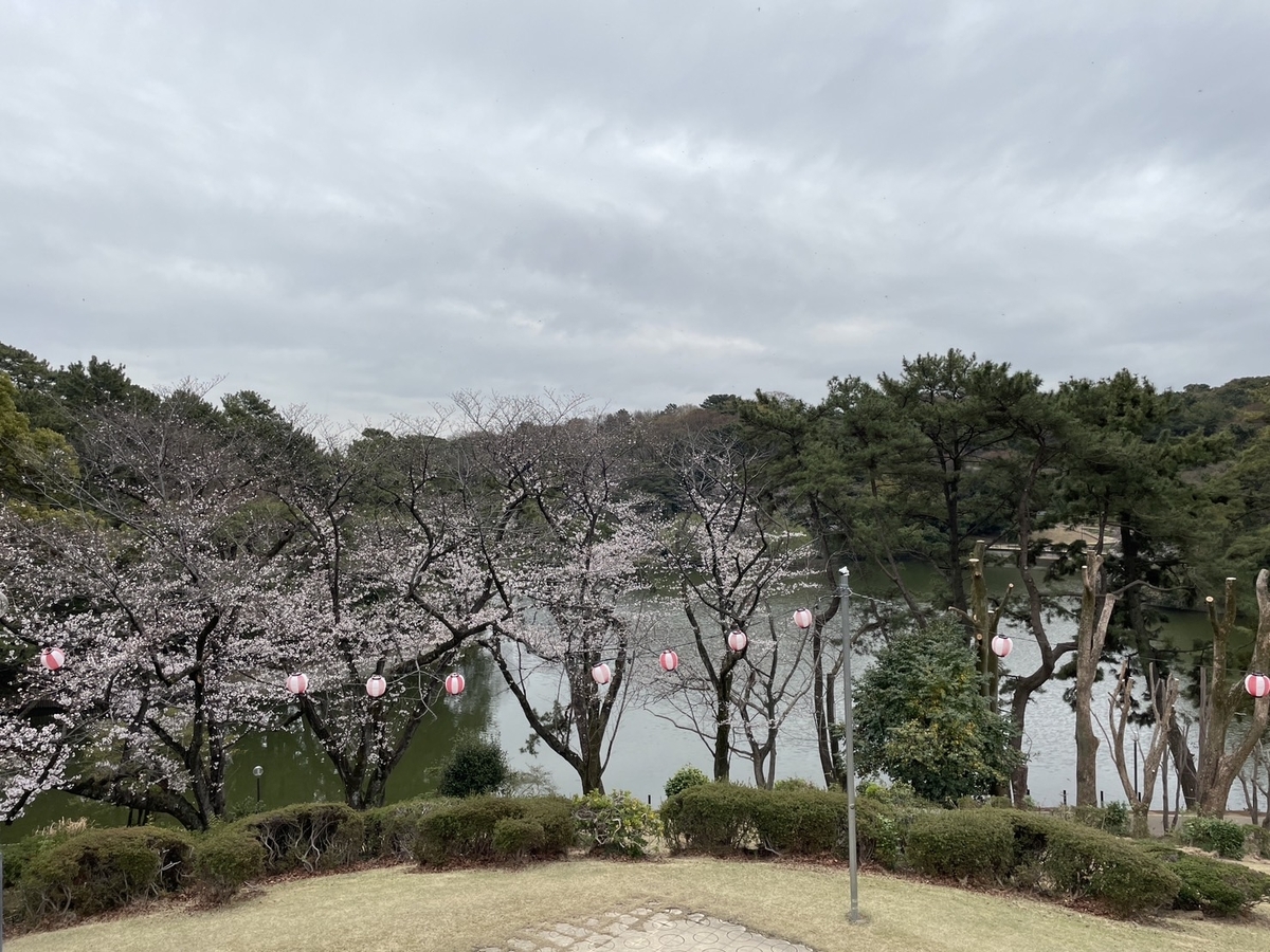 知多半島の桜の名所｜東海市にある大池公園の大田大池