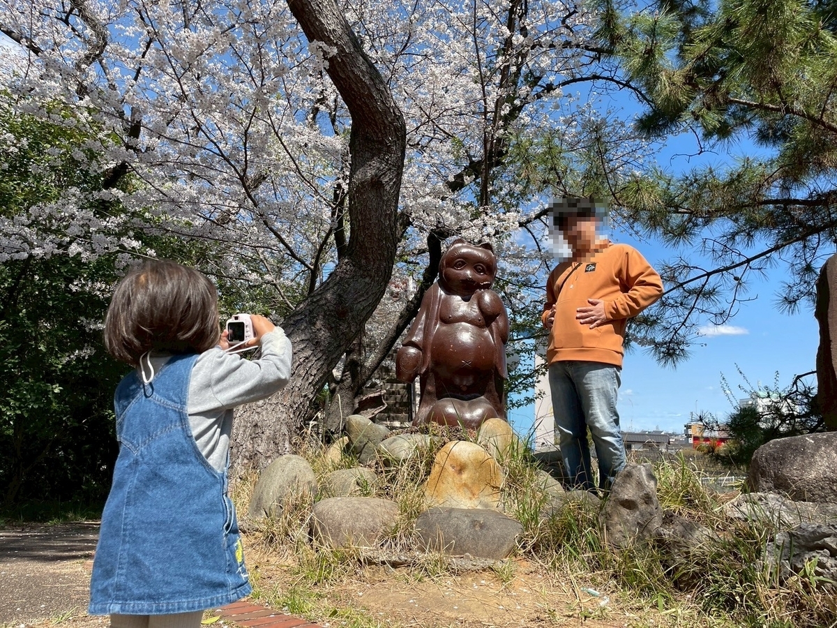 西三河の桜の名所2025｜高浜市にある大山緑地のタヌキ