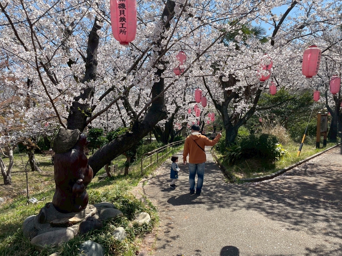 西三河の桜の名所2025｜高浜市にある大山緑地の桜並木