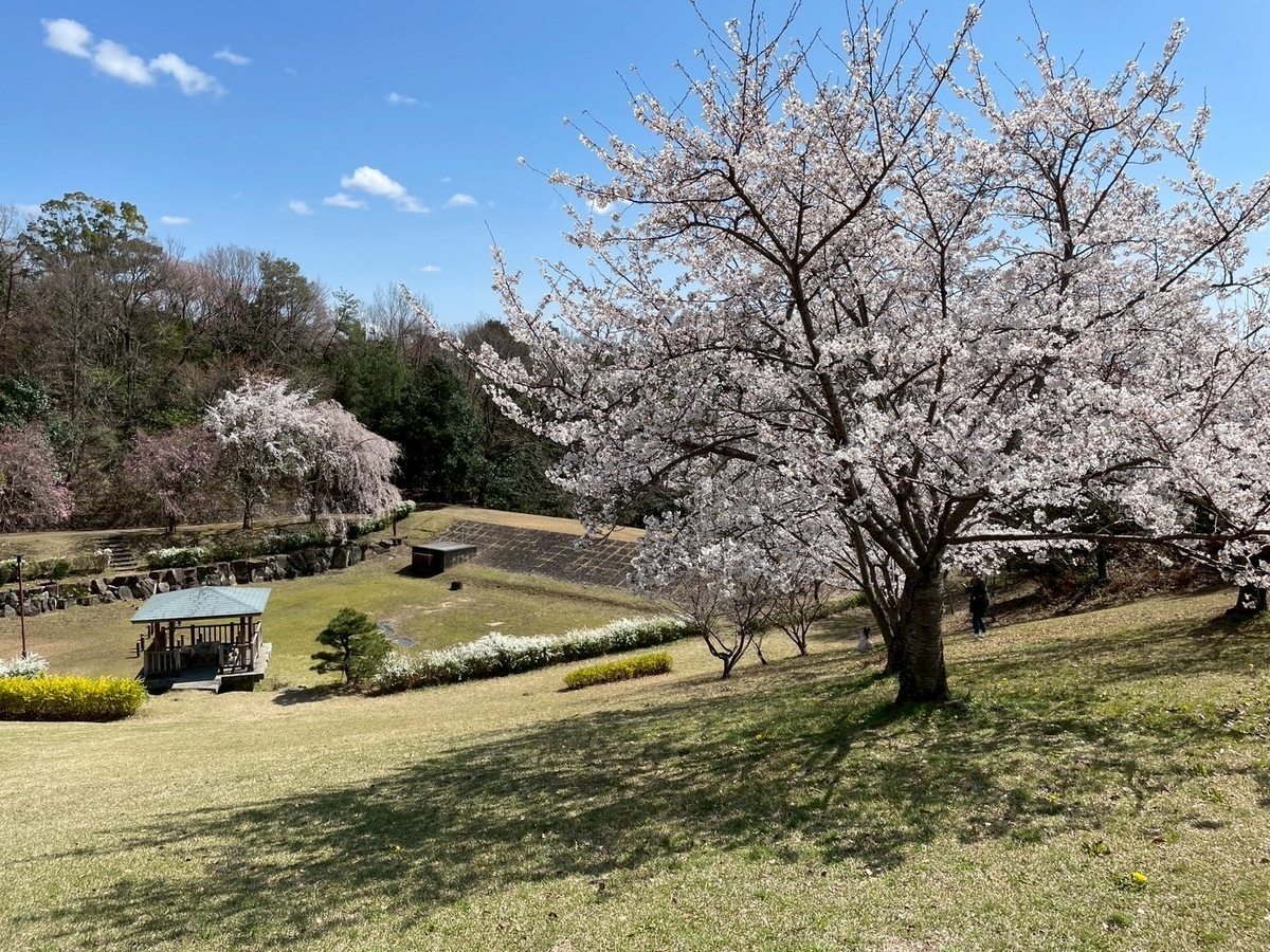 子どもの遊び場｜犬山市にある犬山ひばりケ丘公園