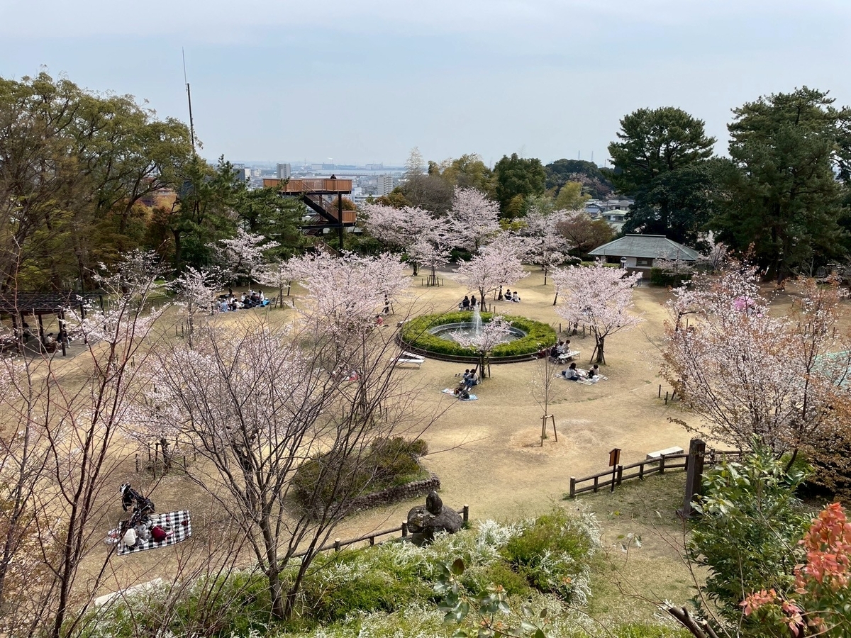 知多半島の桜の名所2025｜半田市にある雁宿公園の北エリアの展望台からみた桜
