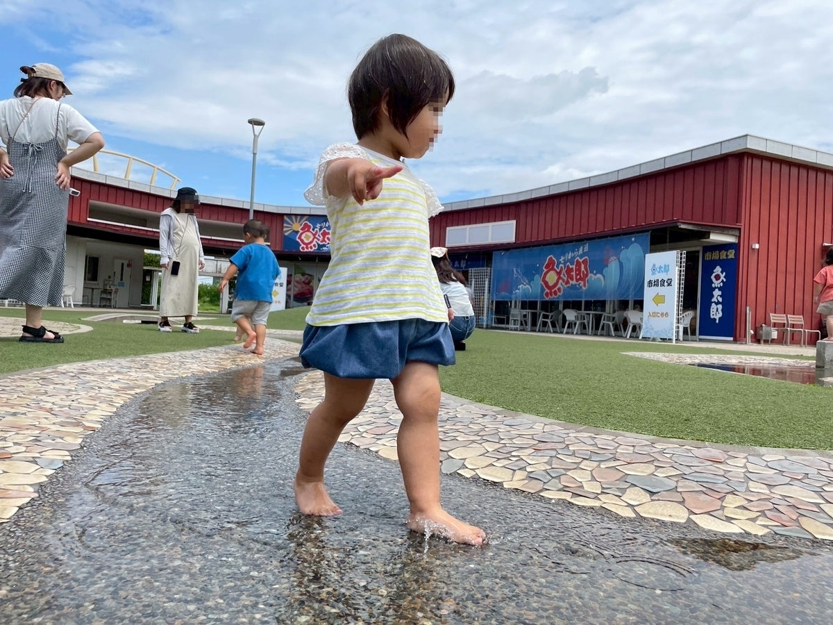 水遊びスポット｜大府市にあるげんきの郷すくすくヶ丘のせせらぎで遊ぶ女の子