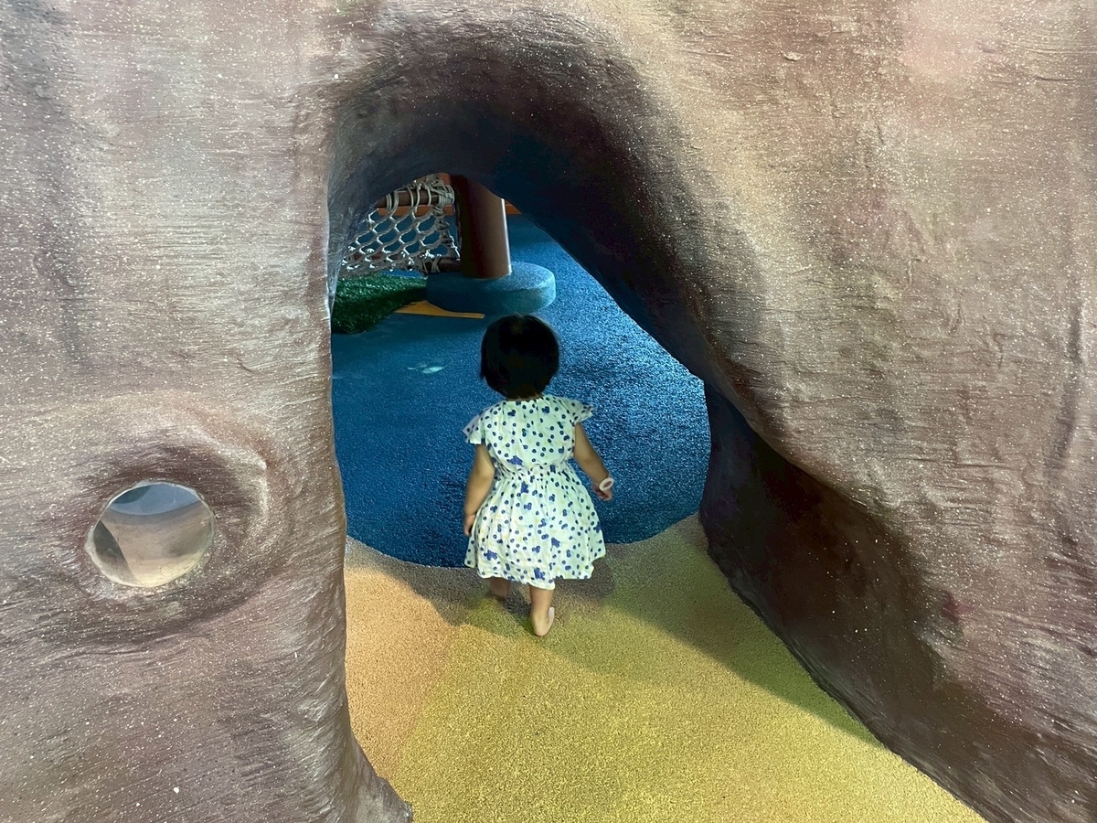 子どもの遊び場｜豊田市の無料の室内遊び場がある鞍ヶ池公園のプレイハウス大型遊具
