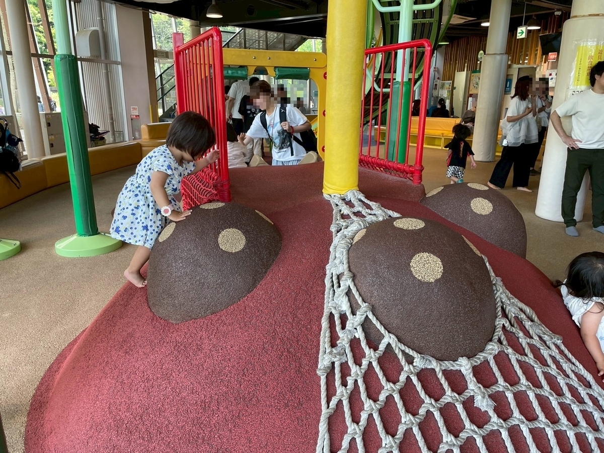 子どもの遊び場｜豊田市の無料の室内遊び場がある鞍ヶ池公園のプレイハウスのすべり台