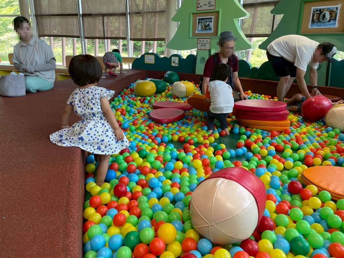 子どもの遊び場｜豊田市の無料の室内遊び場がある鞍ヶ池公園のプレイハウスのボールプール