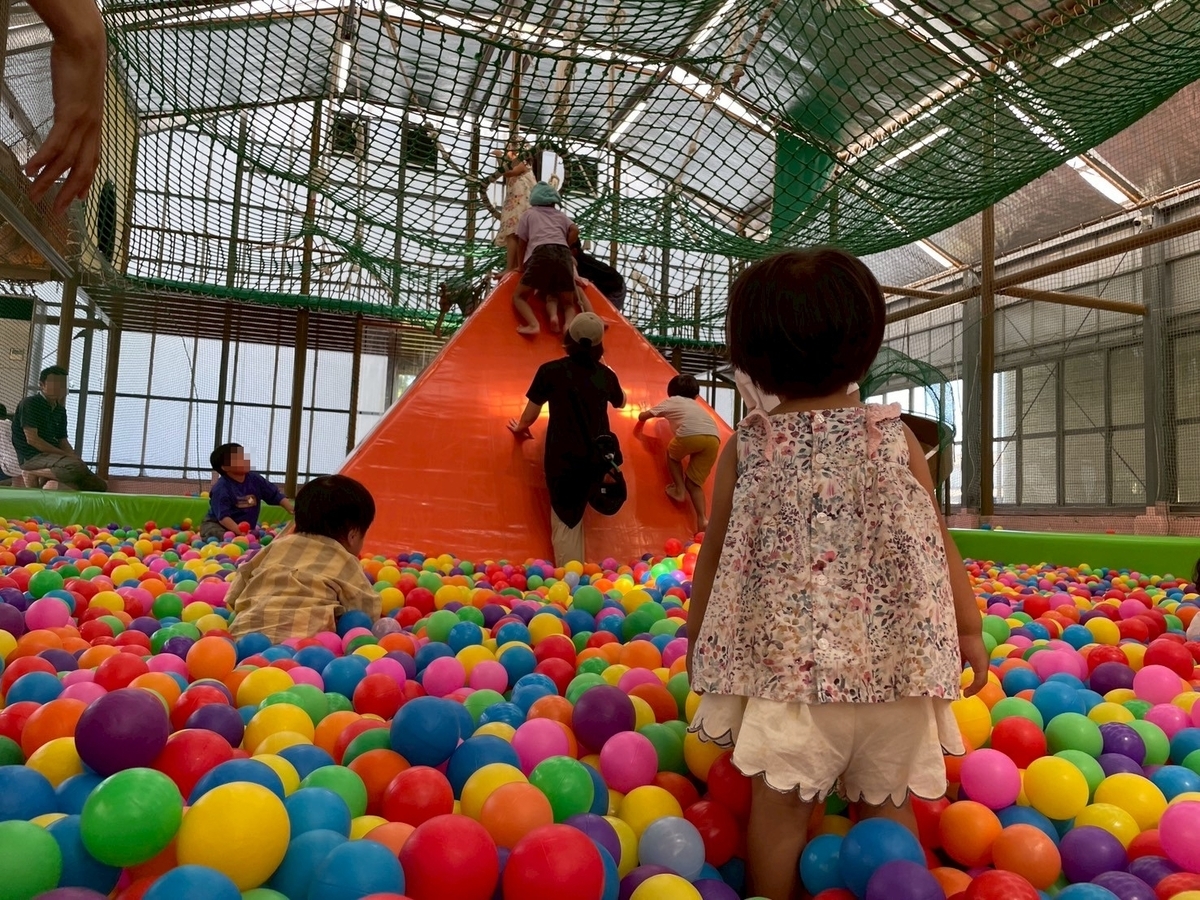 子どもの遊び場｜南知多町にある南知多グリーンバレイの室内遊び場「ボールプール」の天井
