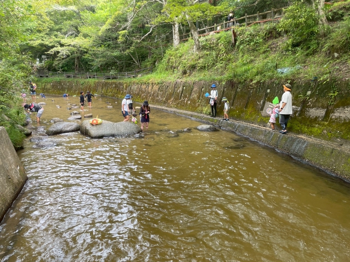 子どもの遊び場｜愛知県瀬戸市にある愛知高原国定公園・岩屋堂公園内にある天然プール（じゃぶじゃぶ池）
