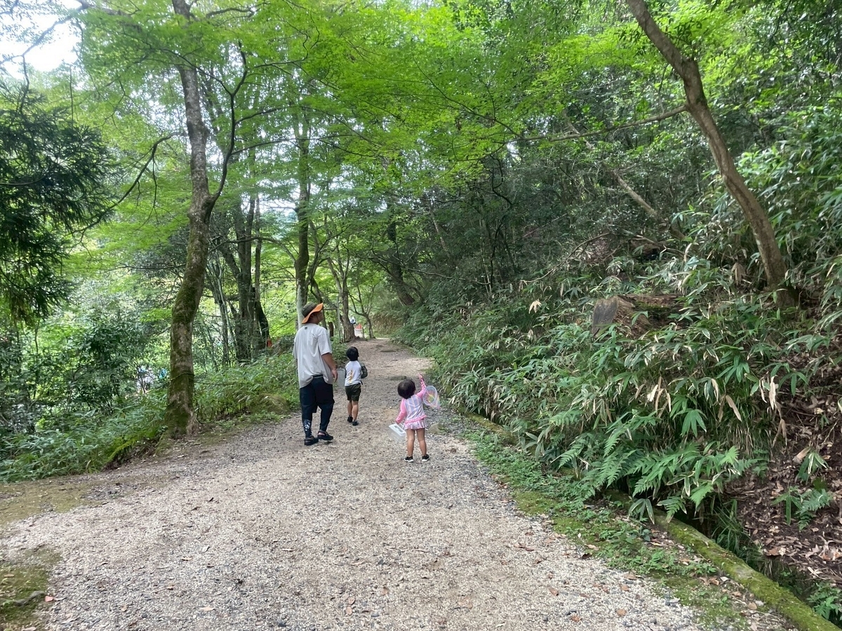 子どもの遊び場｜愛知県瀬戸市にある愛知高原国定公園・岩屋堂公園