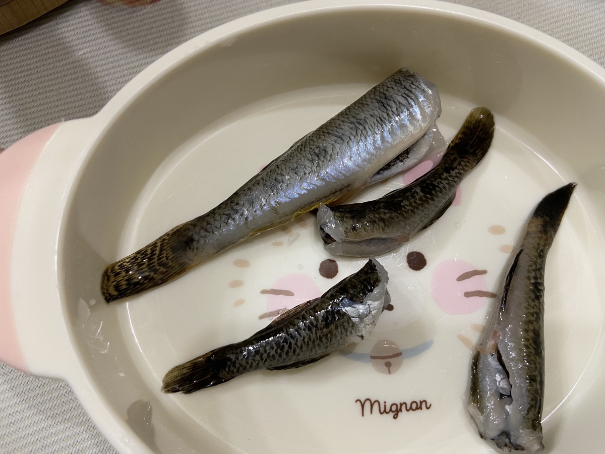 初めてのハゼ釣り体験｜半田市の亀崎海浜緑地で釣れたハゼを調理してみた