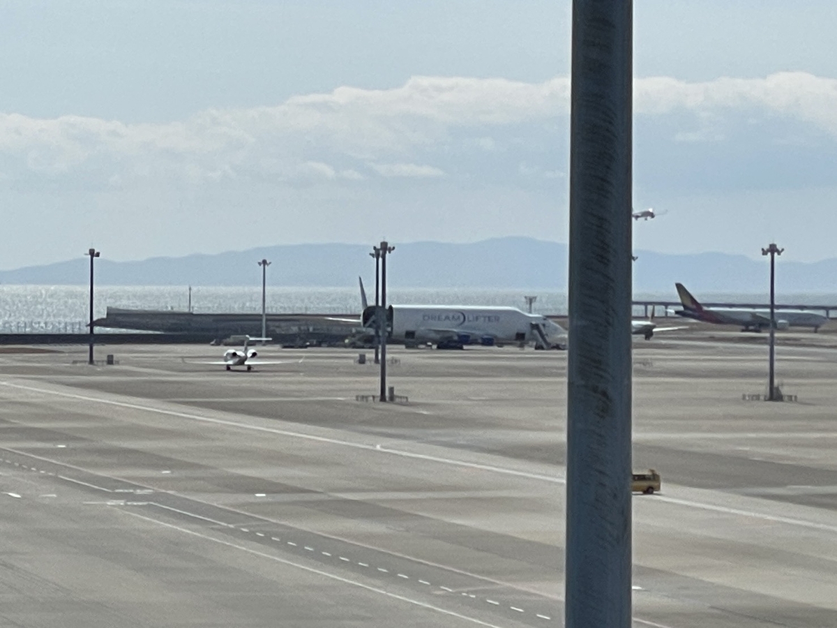 常滑市おでかけ｜中部国際空港セントレアで行われた航空ファンミーティングのドリームリフター
