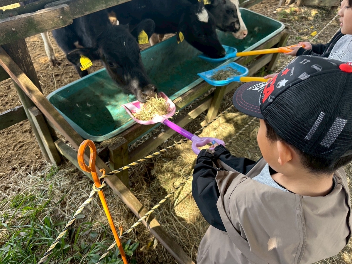 子どもの遊び場｜日進市にある愛知牧場の子牛のエサやり体験