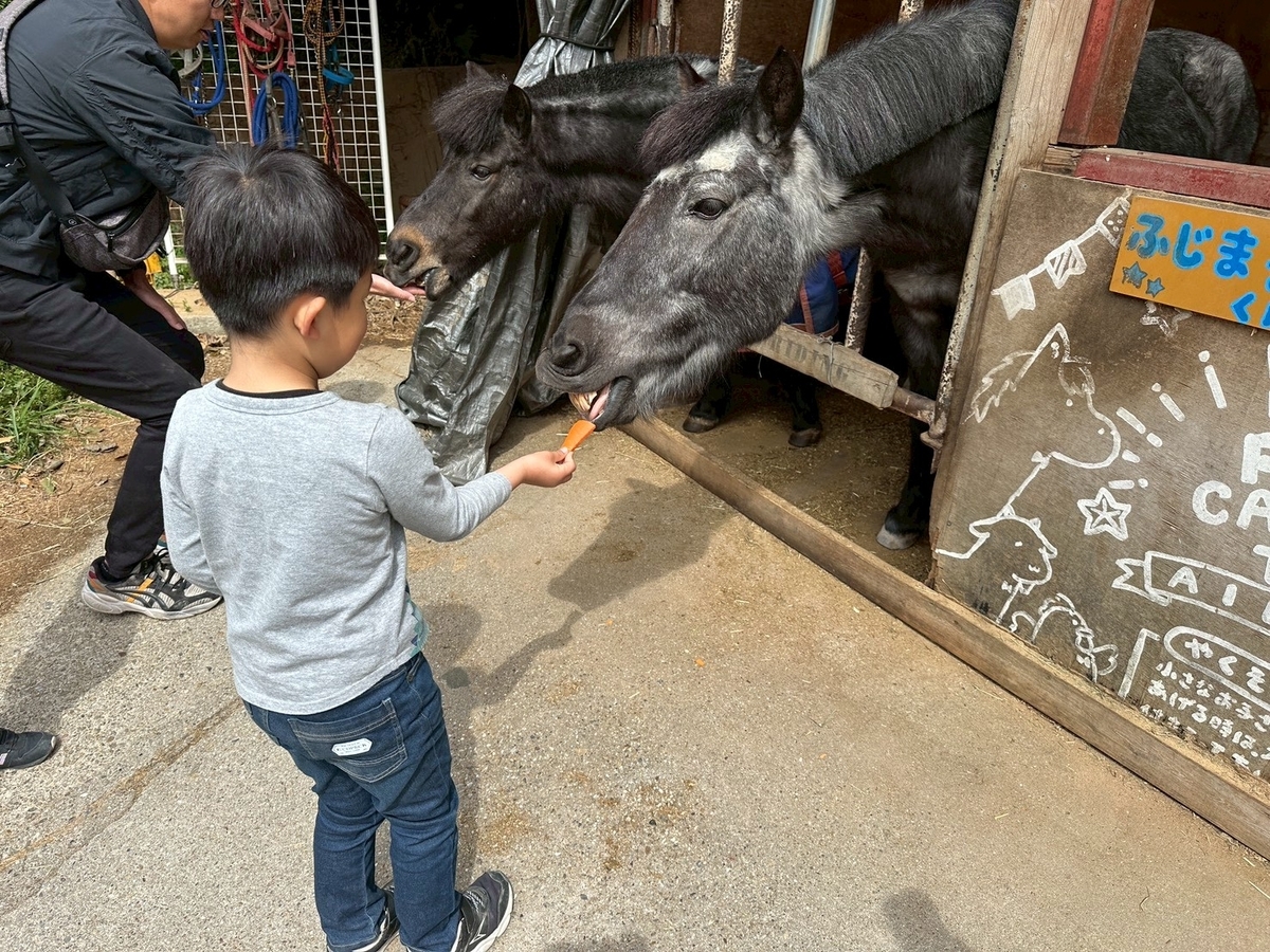 子どもの遊び場｜日進市にある愛知牧場のポニーのエサやり体験レポ