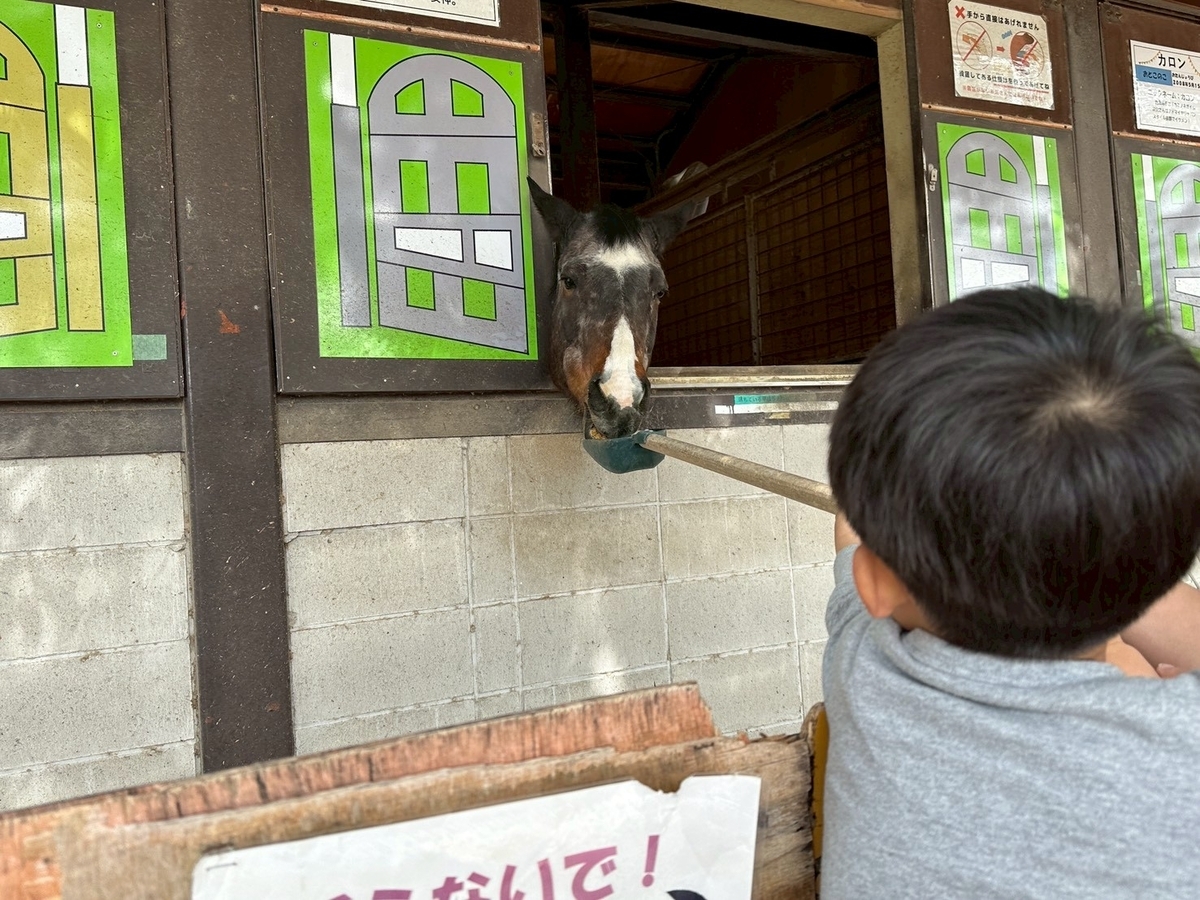 子どもの遊び場｜日進市にある愛知牧場のうまごやのお馬さんのエサやり体験