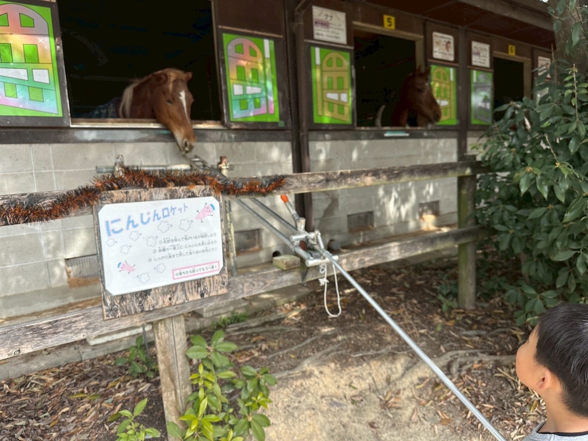 子どもの遊び場｜日進市にある愛知牧場の馬小屋のお馬さんのエサやり体験（にんじんロケット）