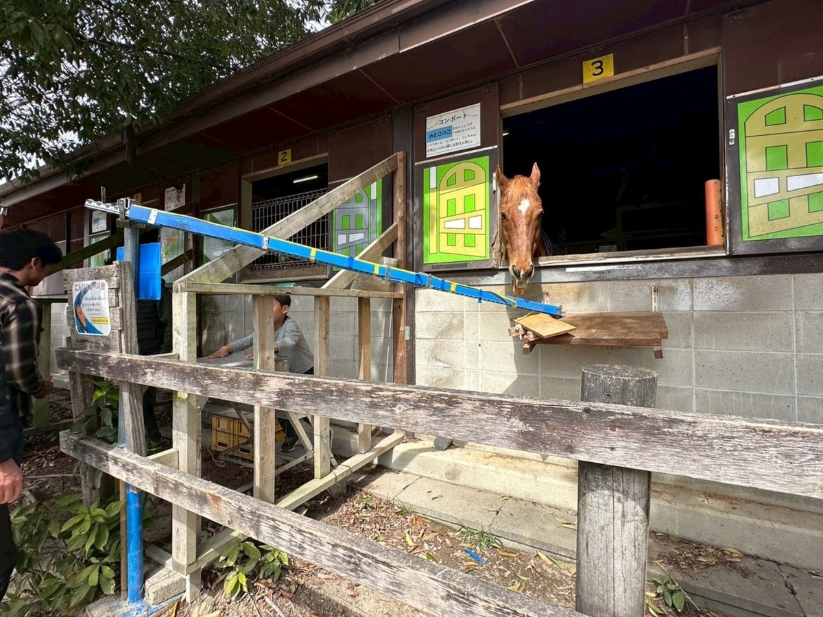 子どもの遊び場｜日進市にある愛知牧場のうまごやのお馬さんのエサやり体験（にんじんすべり台）