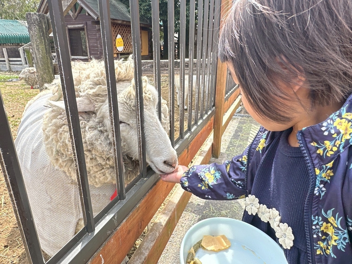 子どもの遊び場｜日進市にある愛知牧場のひつじのエサやり体験レポ