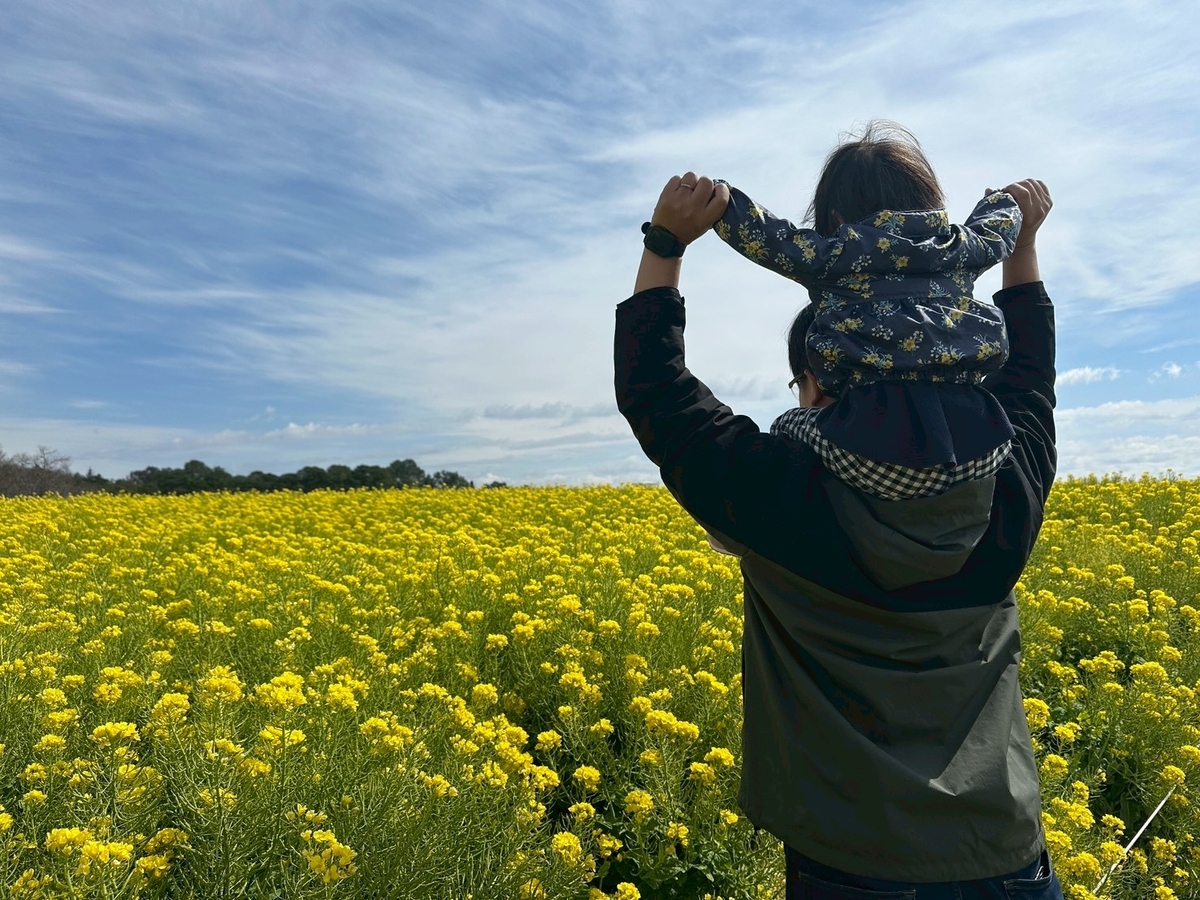 子どもの遊び場｜日進市にある愛知牧場のお花畑（菜の花）