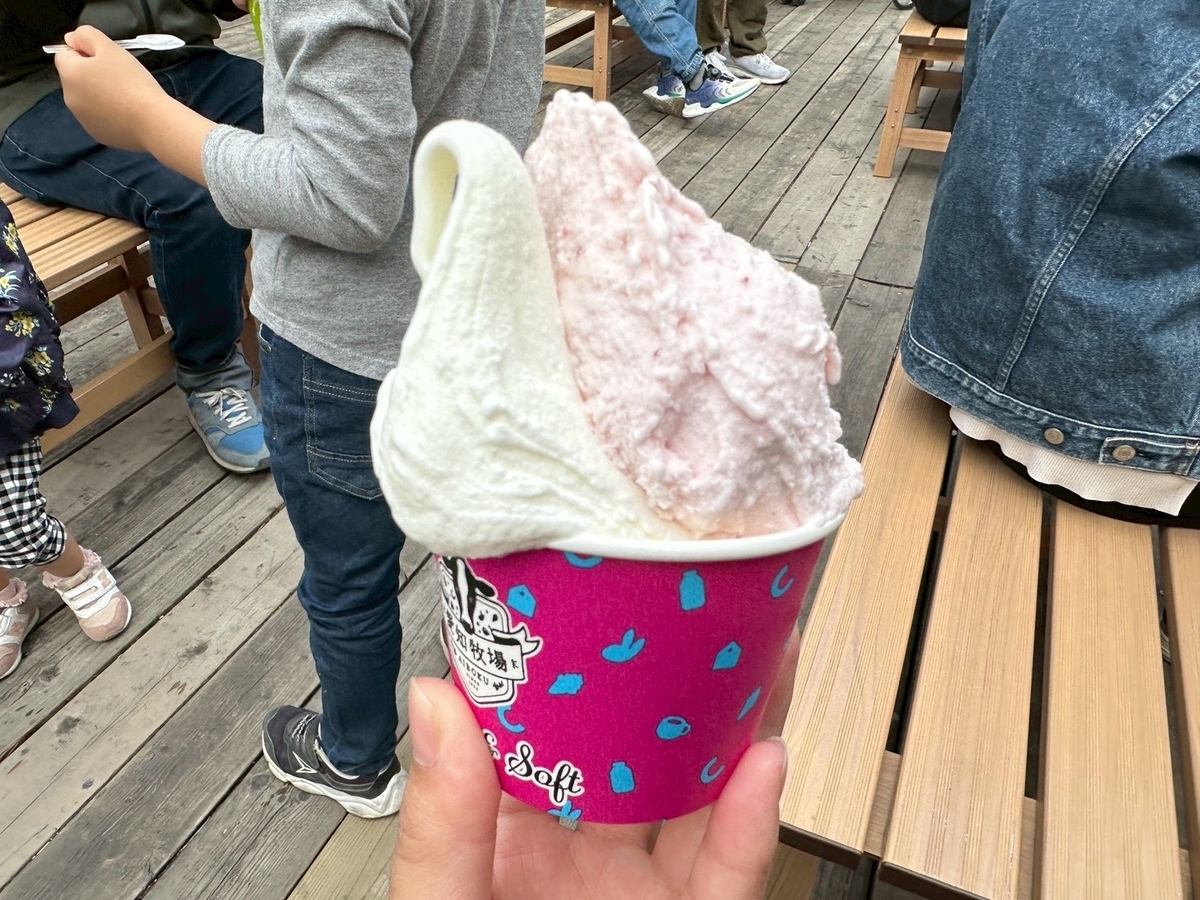 子どもの遊び場｜日進市にある愛知牧場の売店モーハウスで販売しているジェラート（バニラ＆ストロベリー）