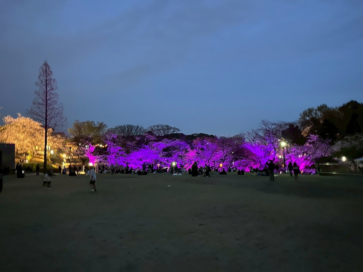 東海市の大池公園桜まつり2026｜光と音のショー