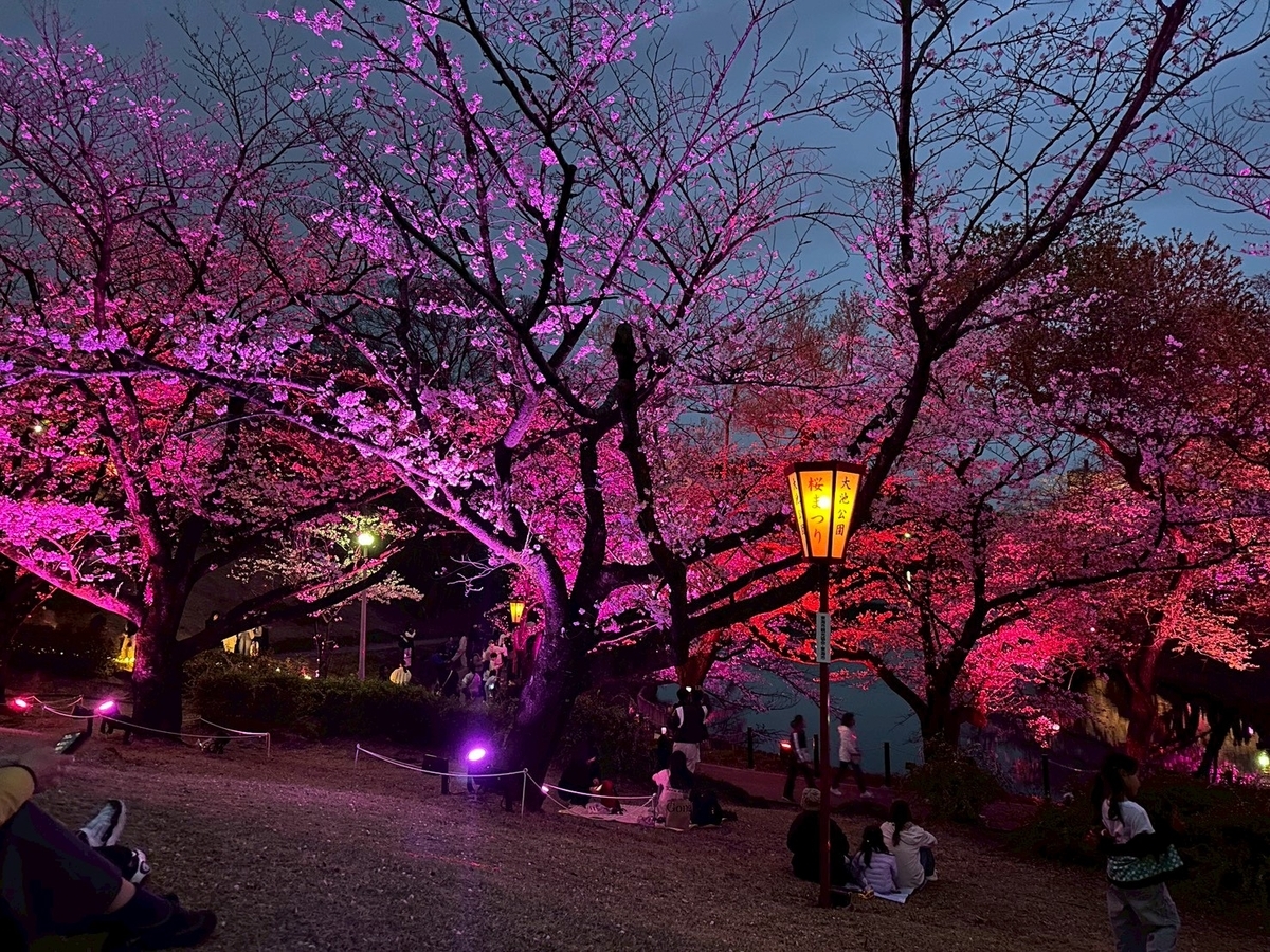 東海市の大池公園桜まつり｜音と光のショー、ライトアップの様子