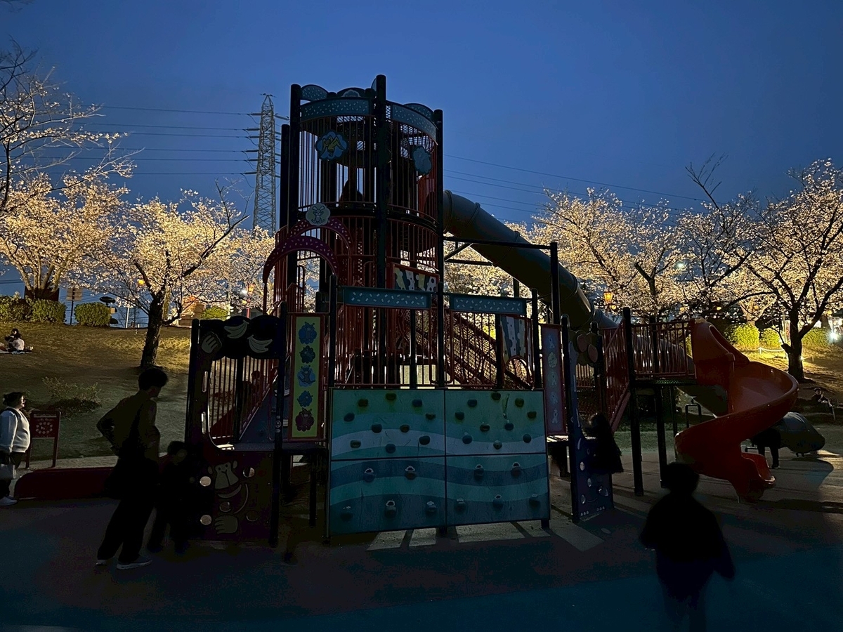 東海市の大池公園桜まつり2026｜夜の遊具遊び