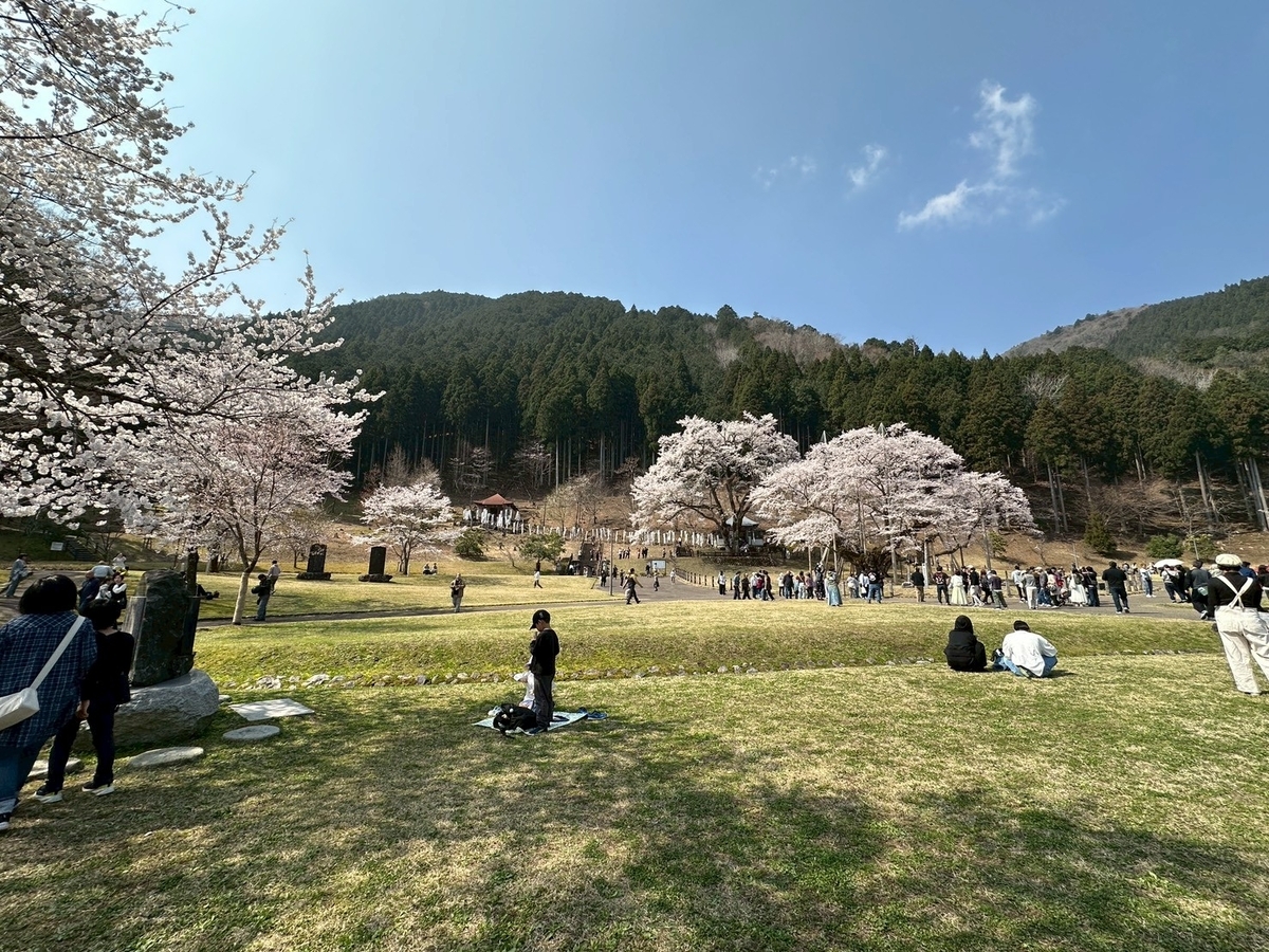 日本三大桜｜岐阜県本巣市の根尾谷薄墨ザクラがある薄墨公園の様子