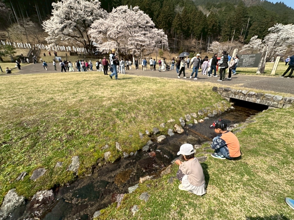 日本三大桜｜岐阜県本巣市の根尾谷薄墨ザクラがある薄墨公園で遊ぶ子ども