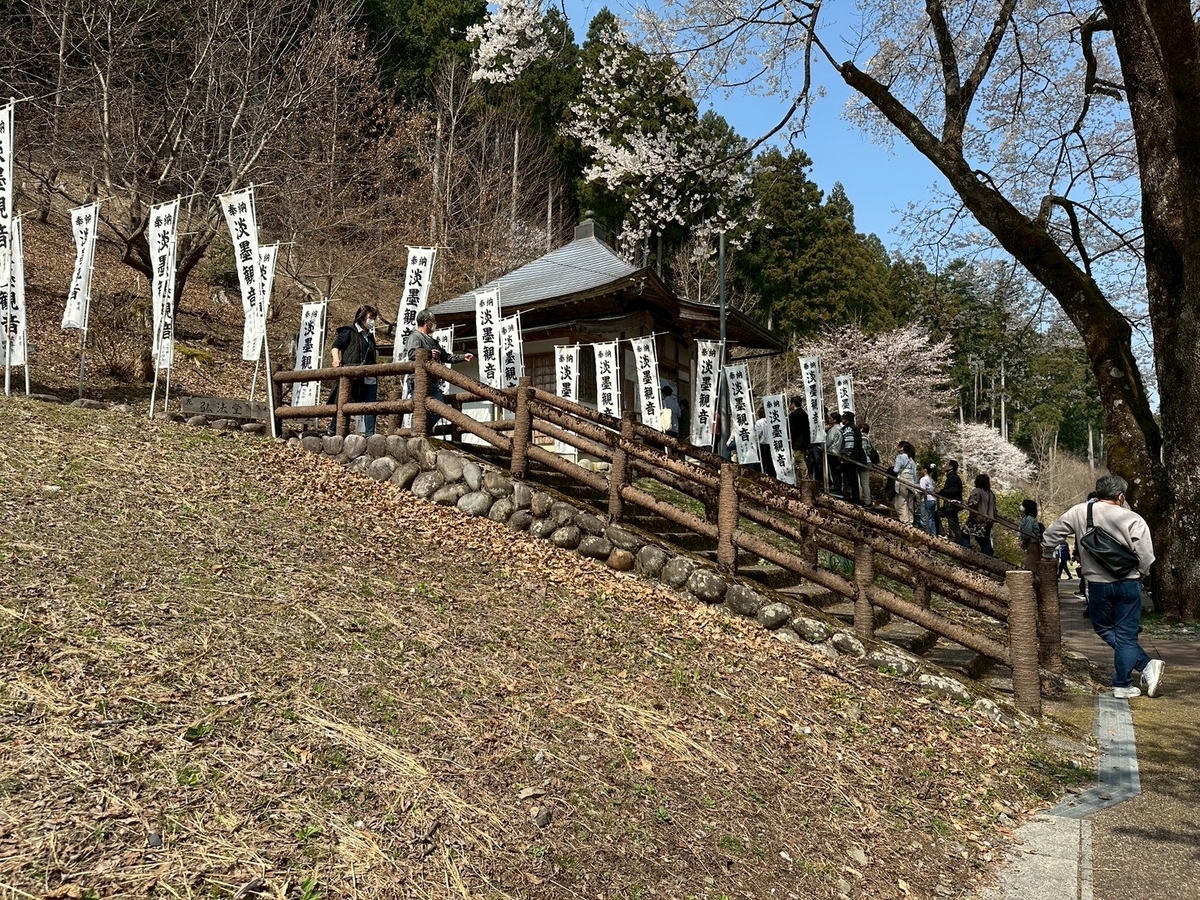 日本三大桜｜岐阜県本巣市の薄墨公園にある根尾谷薄墨ザクラ