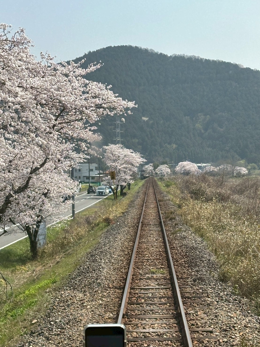 子どもとおでかけ｜大垣駅から垂水駅までをつなぐ樽見鉄道の桜並木と単線