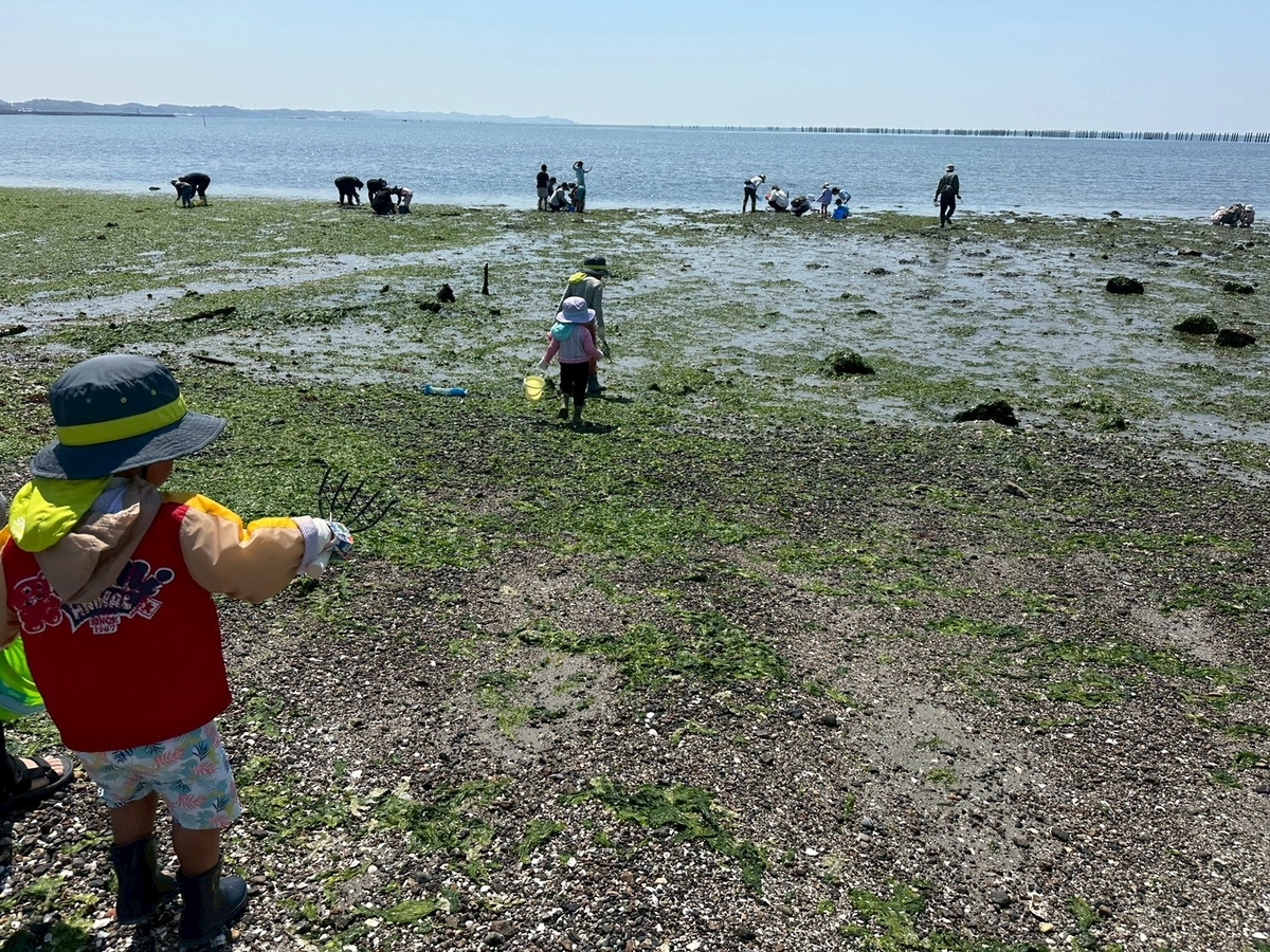 知多半島で潮干狩り2026｜常滑市にある樽水海岸で潮干狩りをする子ども達