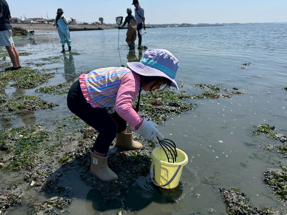 知多半島で潮干狩り2026｜常滑市にある樽水海岸で潮干狩りをする子ども達