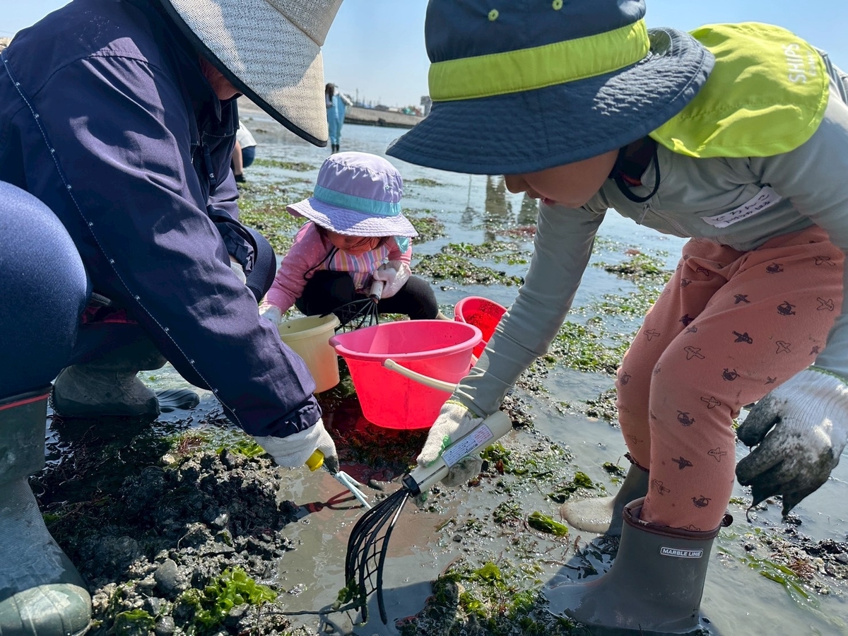 知多半島で潮干狩り2026｜常滑市にある樽水海岸で潮干狩りをする子ども達