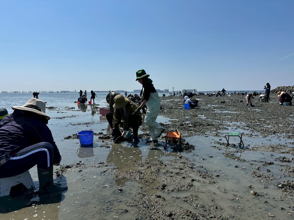 知多半島で潮干狩り2026｜常滑市にある樽水海岸で潮干狩りをする様子