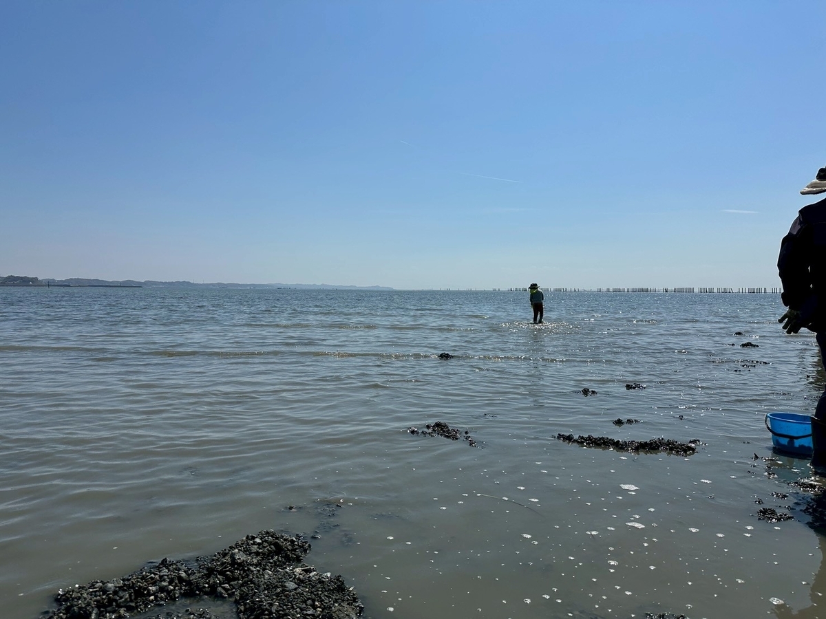 知多半島で潮干狩り2026｜常滑市にある樽水海岸で潮干狩り。沖でアサリを洗う子ども