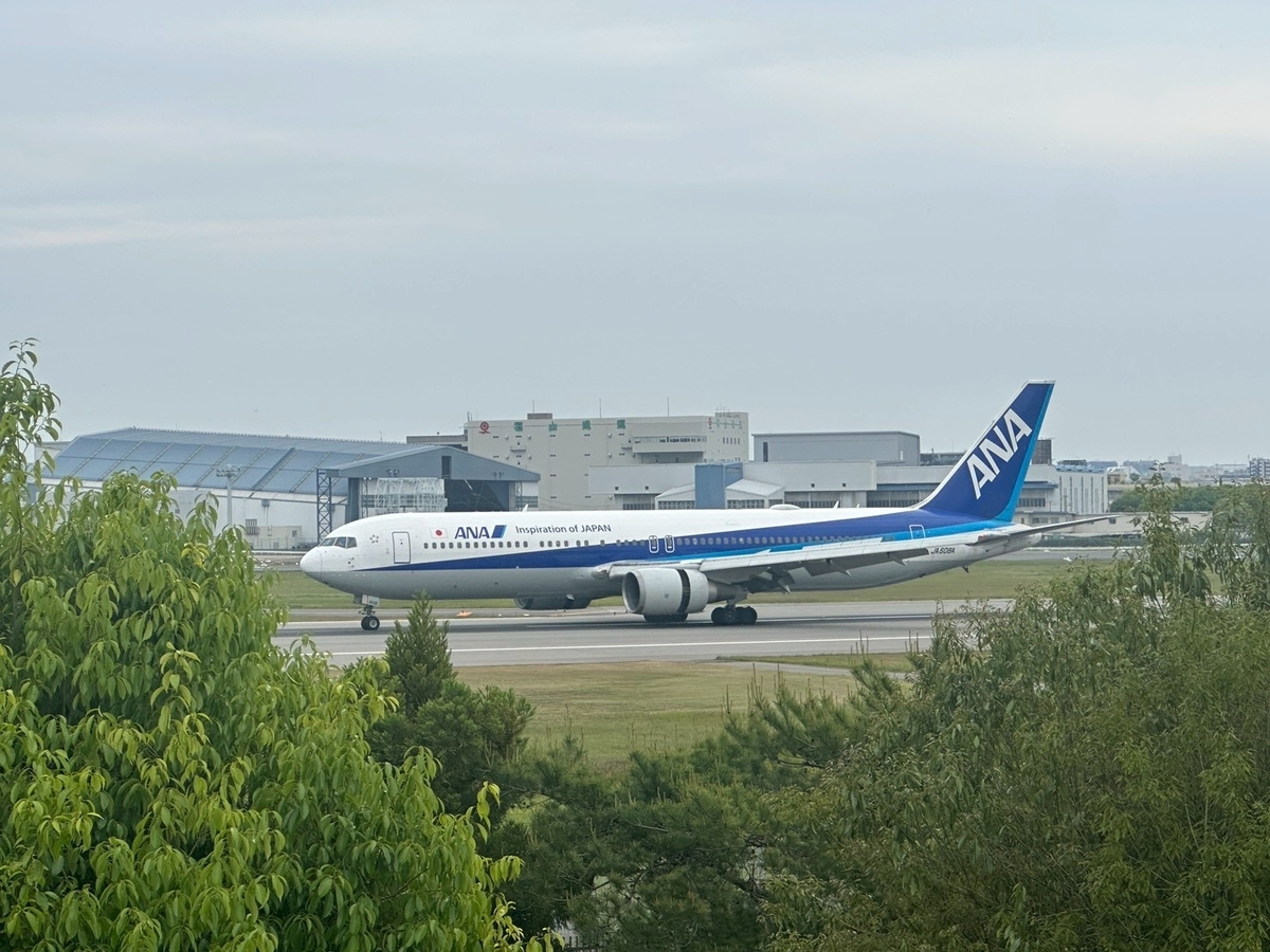 豊中市観光スポット｜飛行機の離発着を見ながら遊具で遊べる公園「伊丹スカイパーク」の大空の丘からみるANAの着陸