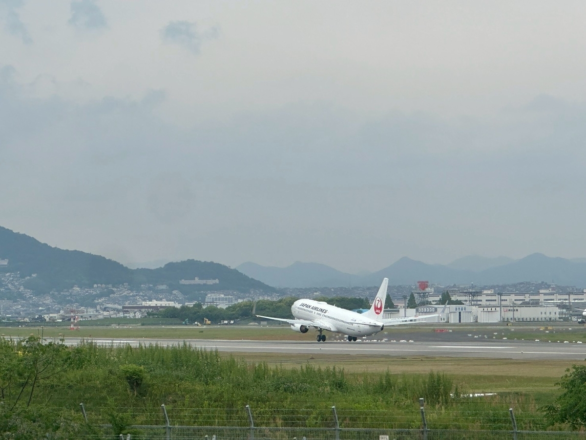 豊中市観光スポット｜飛行機の離発着を見ながら遊具で遊べる公園「伊丹スカイパーク」の大空の丘から見るJALの離陸