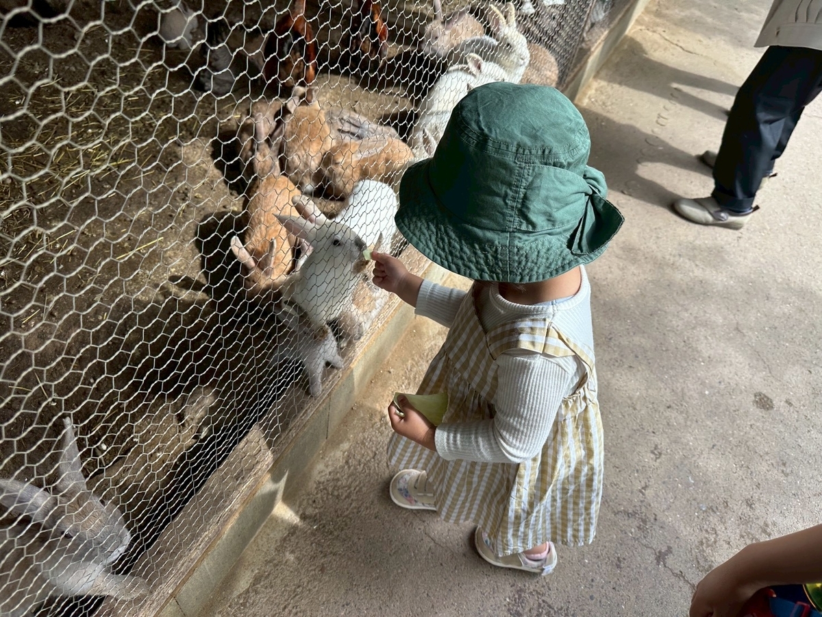 子どもとおでかけ|京都府福知山市にある「三段池RAVIHOUSE動物園」のうさぎのエサやり