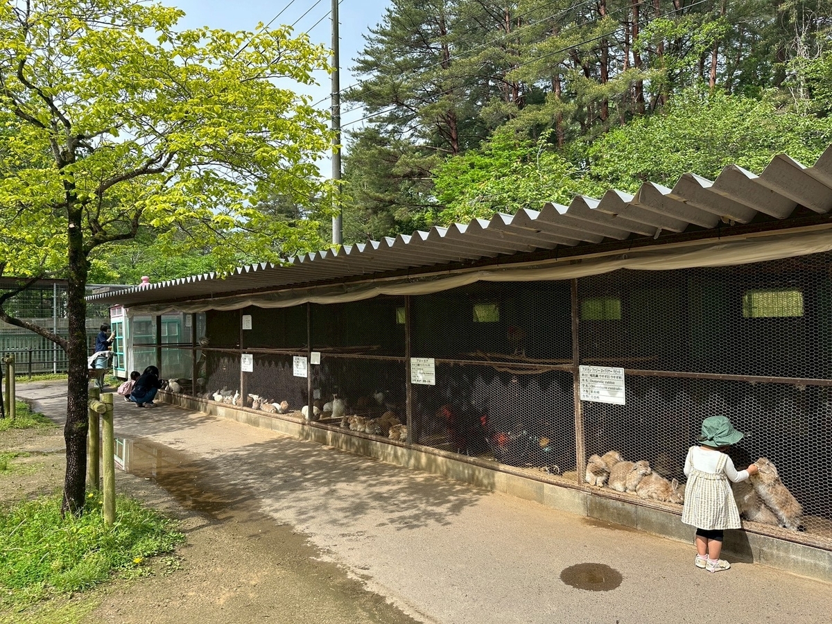 子どもとおでかけ|京都府福知山市にある「三段池RAVIHOUSE動物園」のうさぎ舎