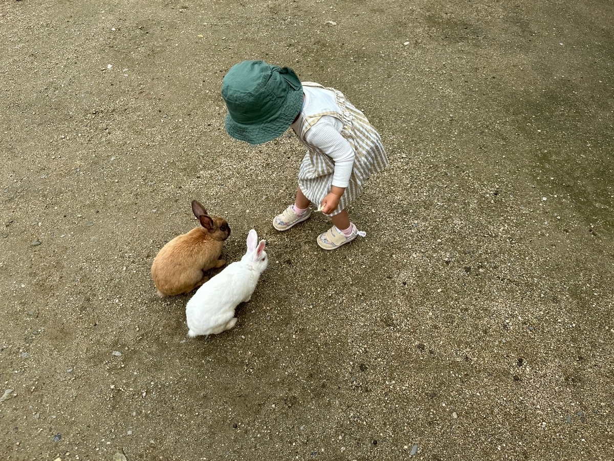 子どもとおでかけ|京都府福知山市にある「三段池RAVIHOUSE動物園」のふれあい広場のうさぎから逃げる女の子