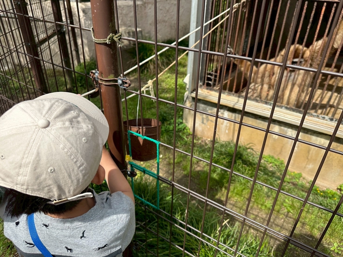 子どもとおでかけ|京都府福知山市にある「三段池RAVIHOUSE動物園」のニホンザルのエサやり