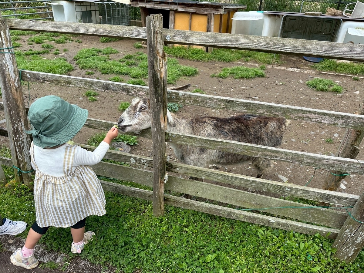 子どもとおでかけ|京都府福知山市にある「三段池RAVIHOUSE動物園」の八木