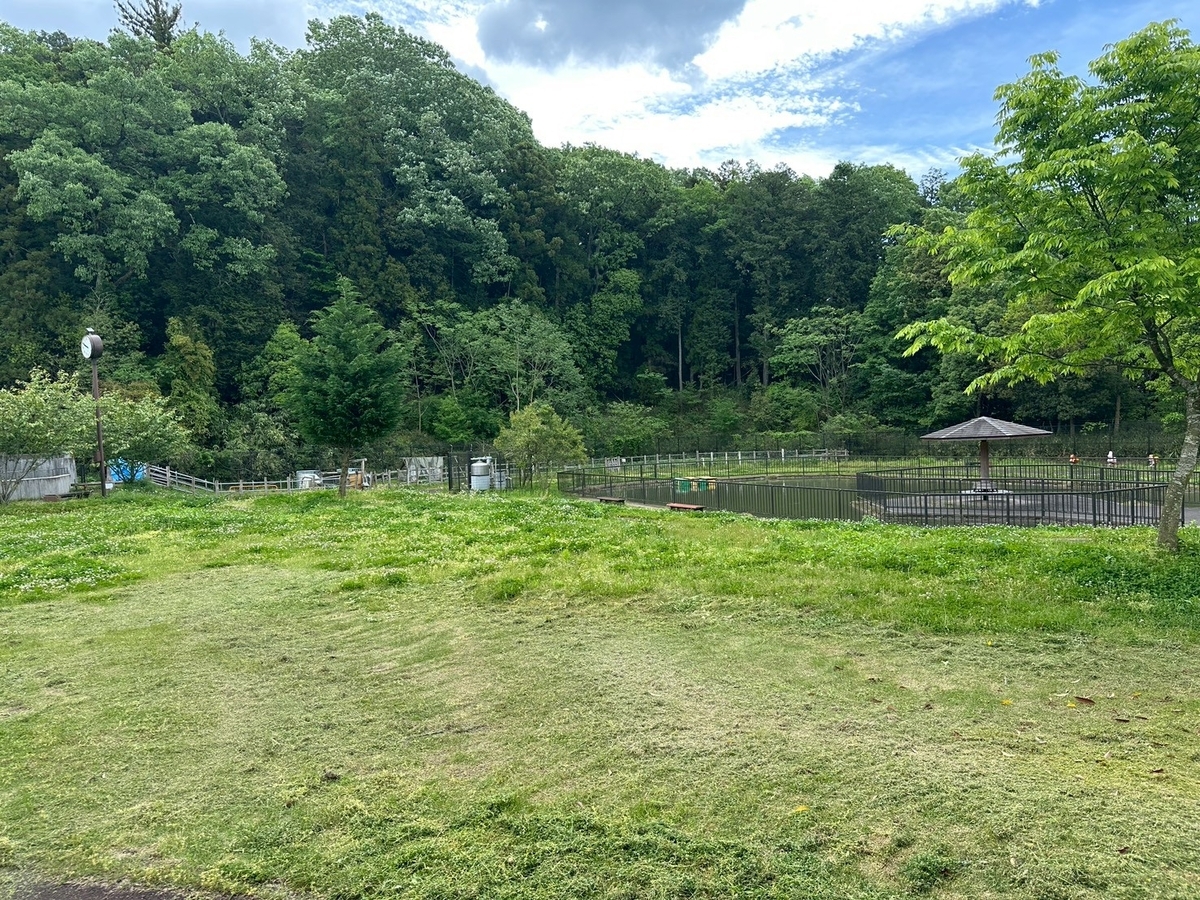 子どもとおでかけ|京都府福知山市にある「三段池RAVIHOUSE動物園」のコールダック