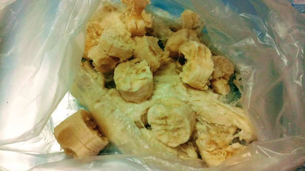 f:id:megumakou2014:20181104180812j:plain