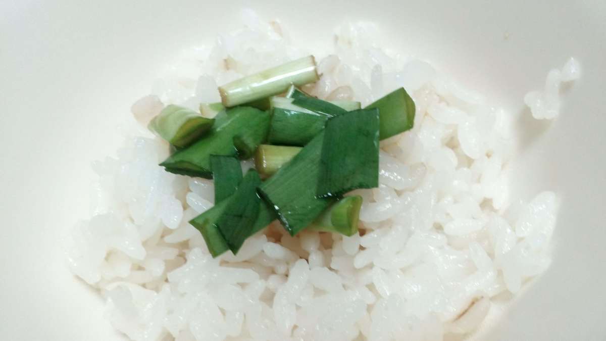 f:id:megumakou2014:20190801160249j:plain f:id:megumakou2014:20190801160249j:plain