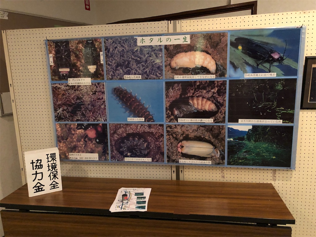 f:id:megumi-s:20190613201819j:image f:id:megumi-s:20190613201819j:image