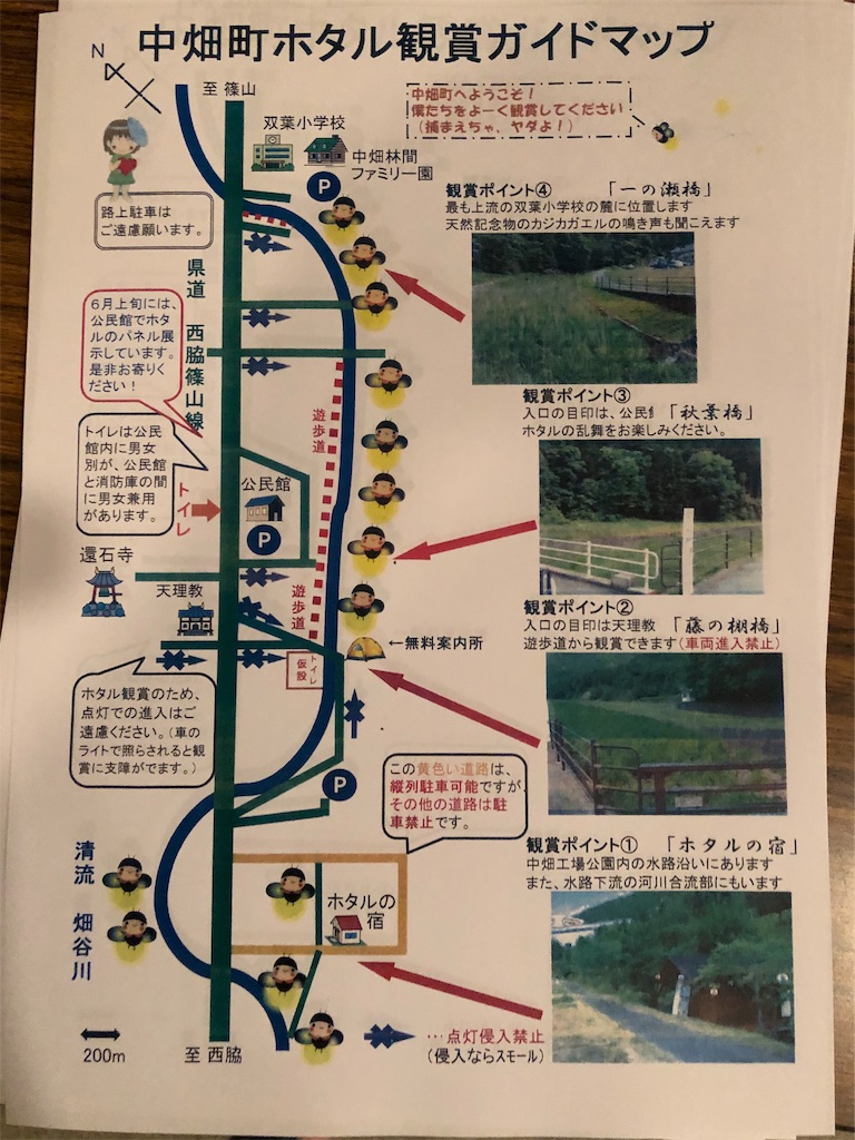 f:id:megumi-s:20190613202021j:image f:id:megumi-s:20190613202021j:image