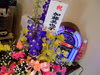 Dscf6308 Dscf6308