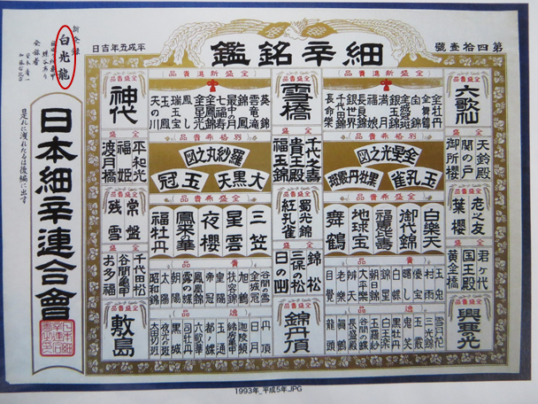 白光龍（はっこうりゅう） Hakkouryuu - 古典園芸植物 細辛の世界